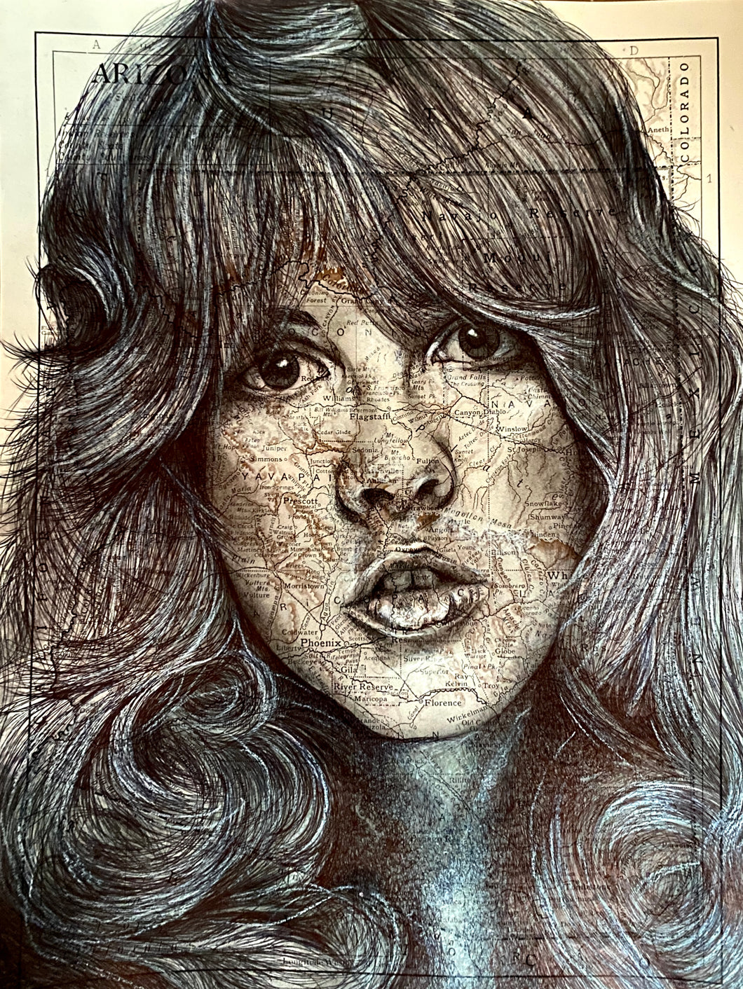Stevie Nicks Fleetwood Mac Original Portrait in Pen on Map of Arizona. 20x27cm