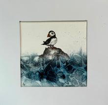 Load image into Gallery viewer, Puffin Original Ink Drawingl Art Framed Blue Acrylic Ink
