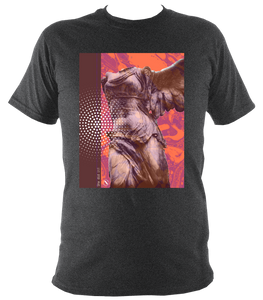 Goddess Nike Winged Victory Printed T-Shirt. Cotton Unisex.
